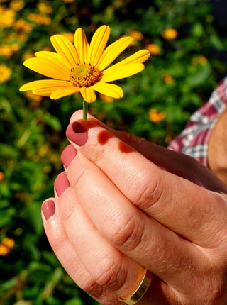 BKIND Vernis à Ongles - Su'l Bord, vieux rose foncé. Parfaite idée de cadeau pour femme.