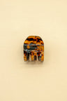Turtle Orange