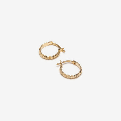 VÉRONIQUE ROY JWLS Determined Earrings - Gold