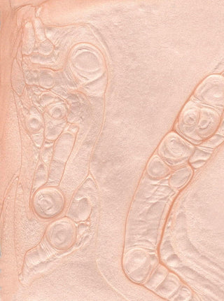 BKIND Nail Polish - Satin