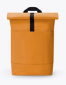 Mustard