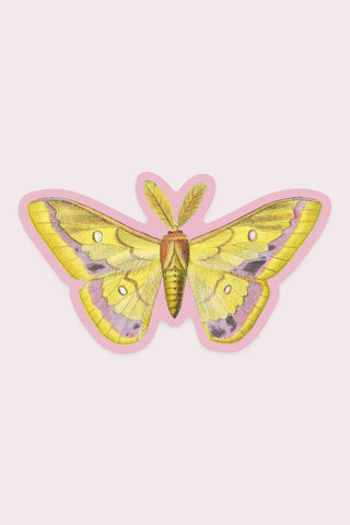 STAY HOME CLUB Autocollant Splendid Moth