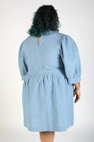 BIRDS OF NORTH AMERICA Devil Downhead Dress - Eclipse Blue
