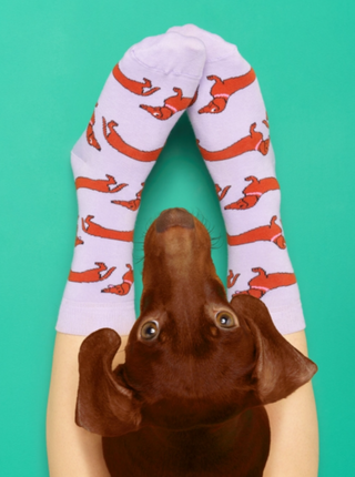 COUCOU SUZETTE Chaussettes - Teckel